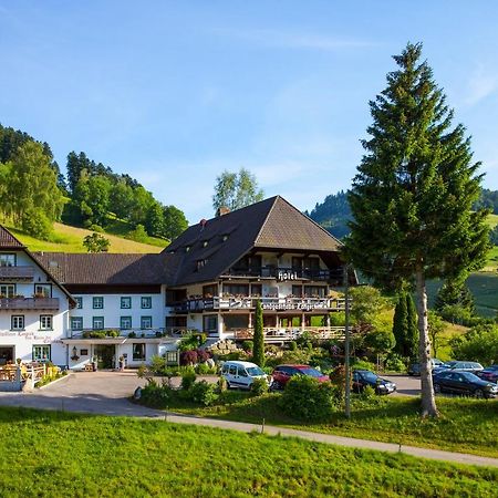 Отель Landhaus Langeck Мюнстерталь Экстерьер фото