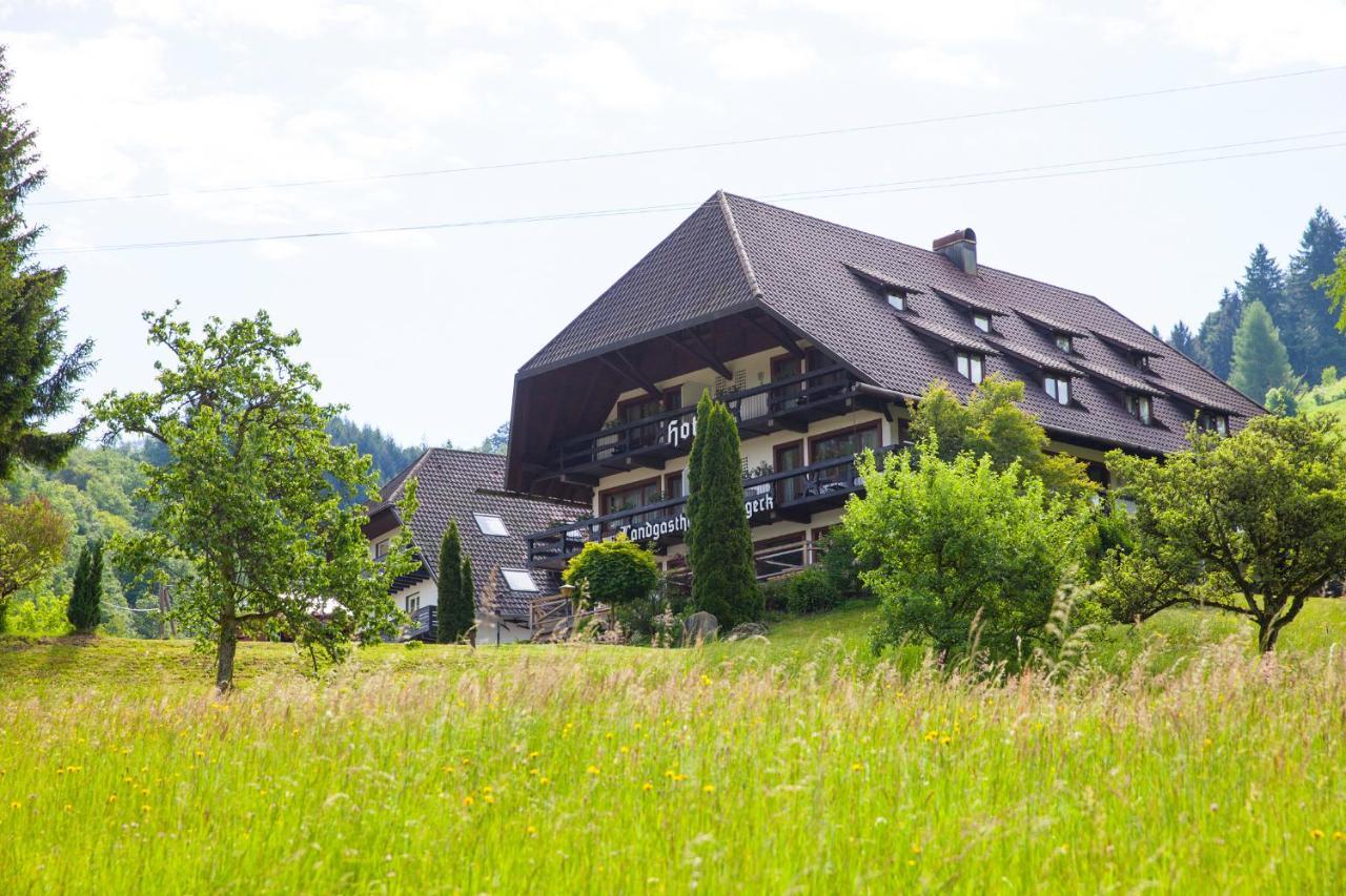 Отель Landhaus Langeck Мюнстерталь Экстерьер фото